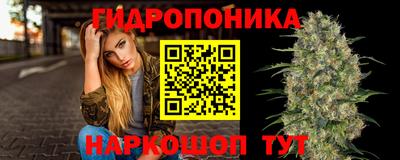 дмт Краснознаменск