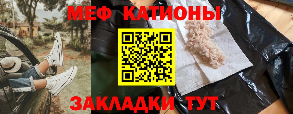 МЕФ  Дмитров