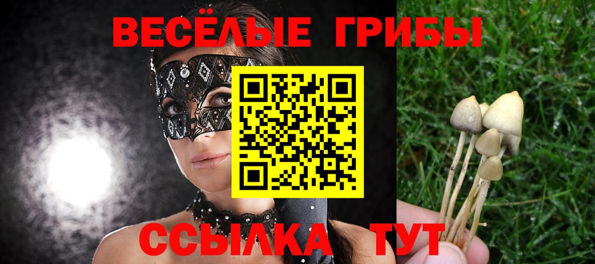 Псилоцибиновые грибы Cubensis Дмитров